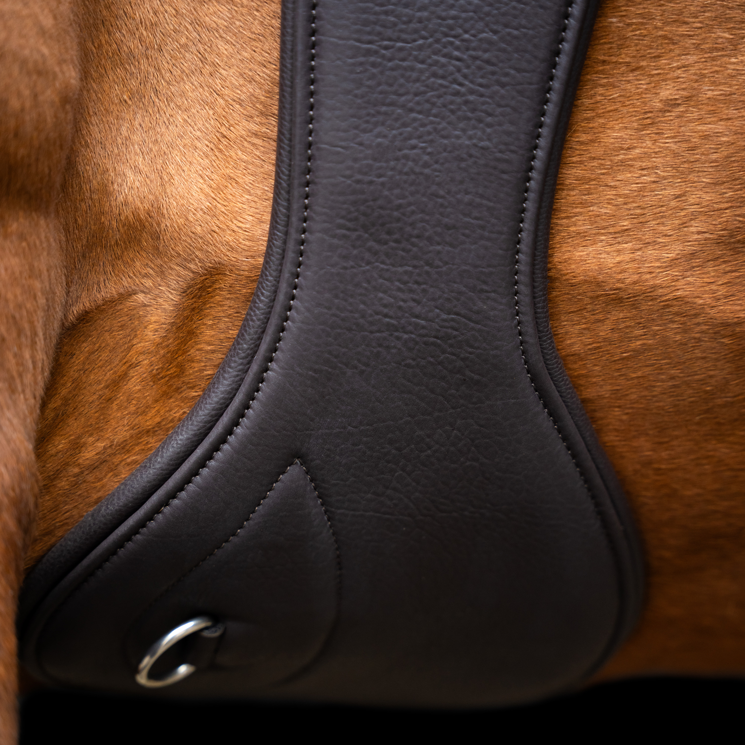 Imperial Riding Hoppgördel anatomisk med fjäderspännen - Mörkbrun - 4