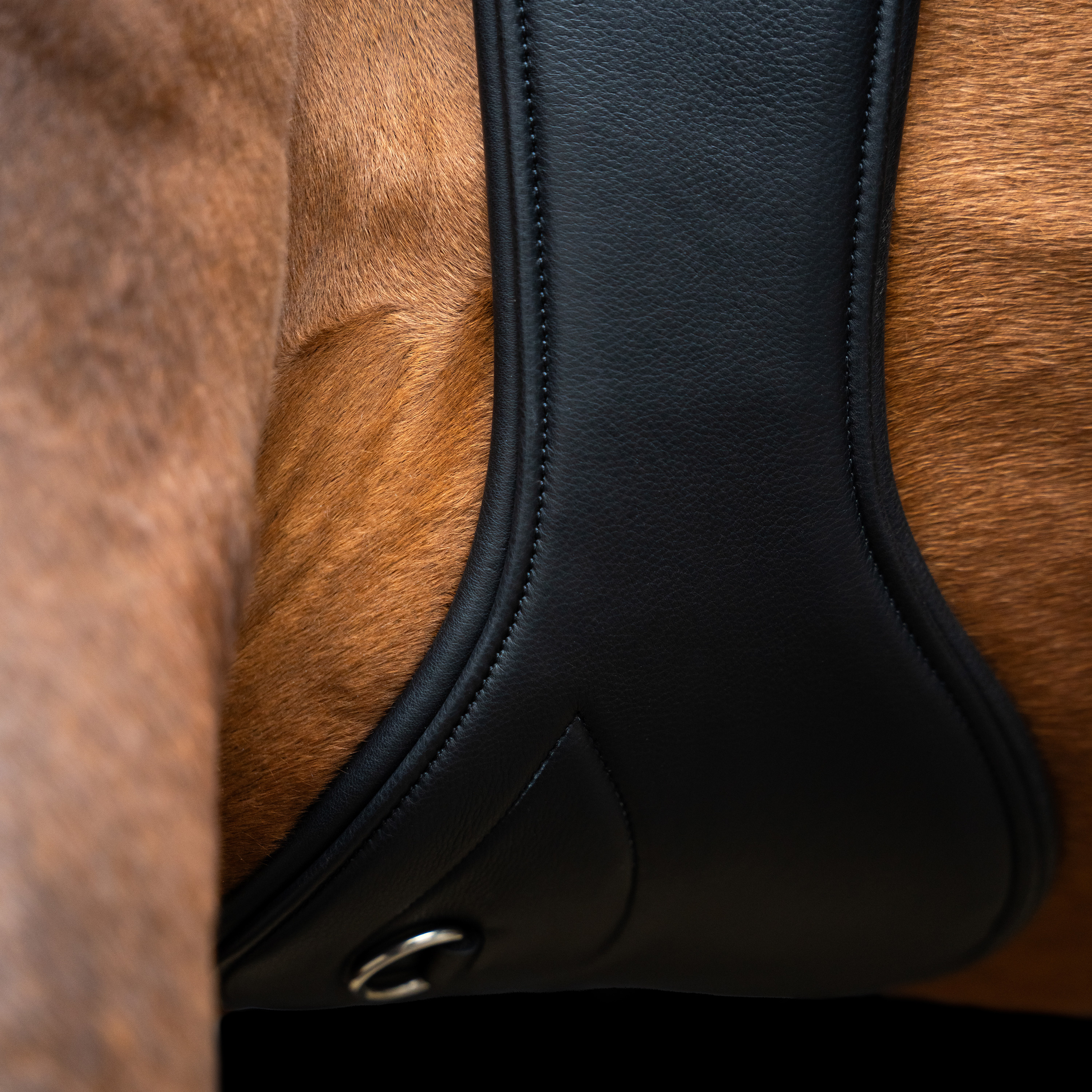 Imperial Riding Esteratsastusvyö anatominen jousisoljilla - Musta - 5