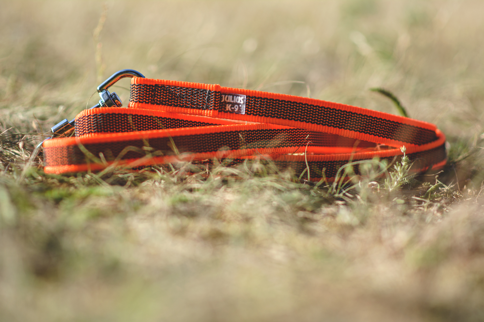 Julius-K9 Color & Gray 20 mm Super-grip ‑talutin kädensijalla - 2 m, Oranssi - 4