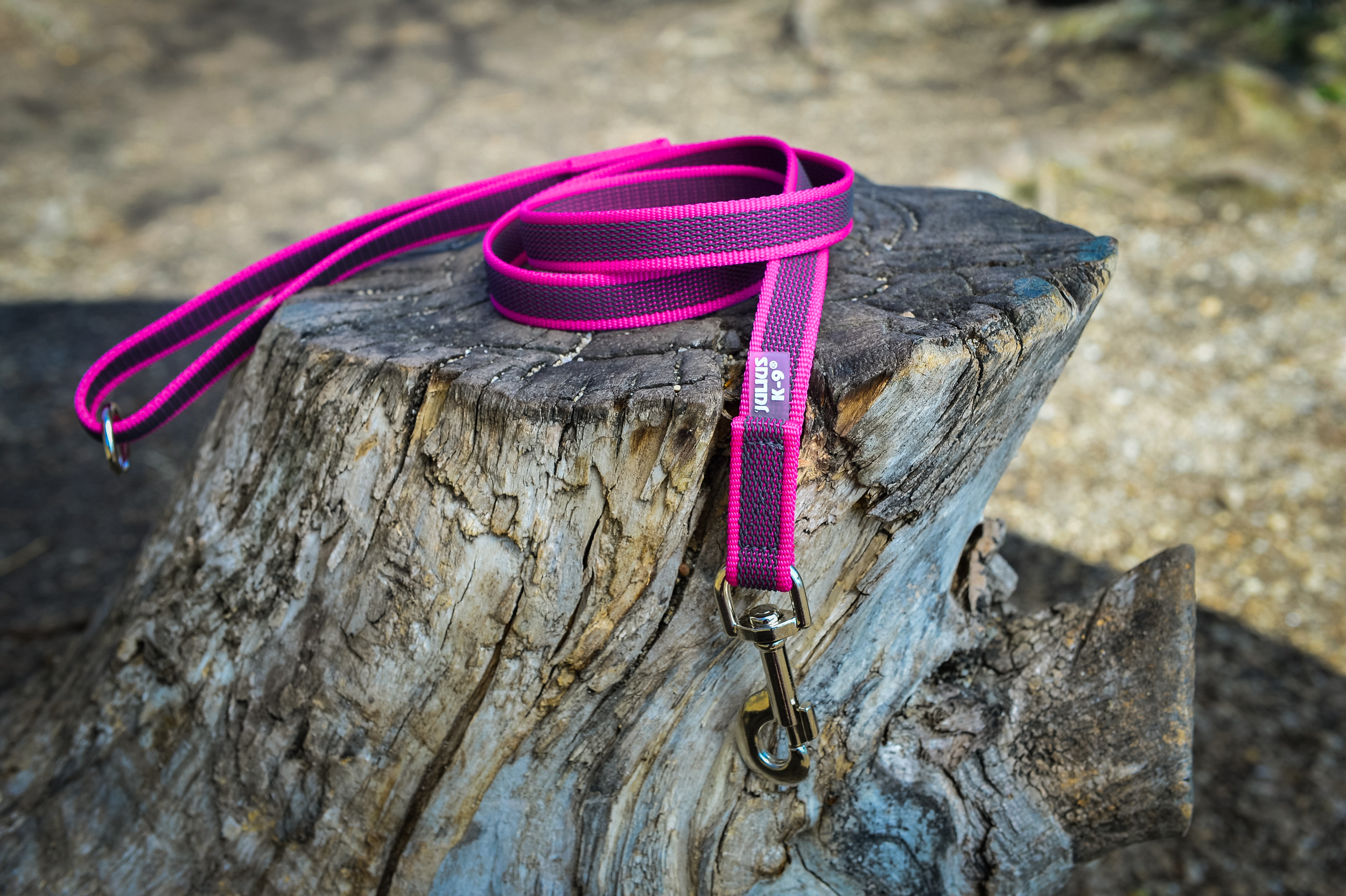 Julius-K9 Color & Gray 20 mm Super-grip ‑talutin kädensijalla - 2 m, Oranssi