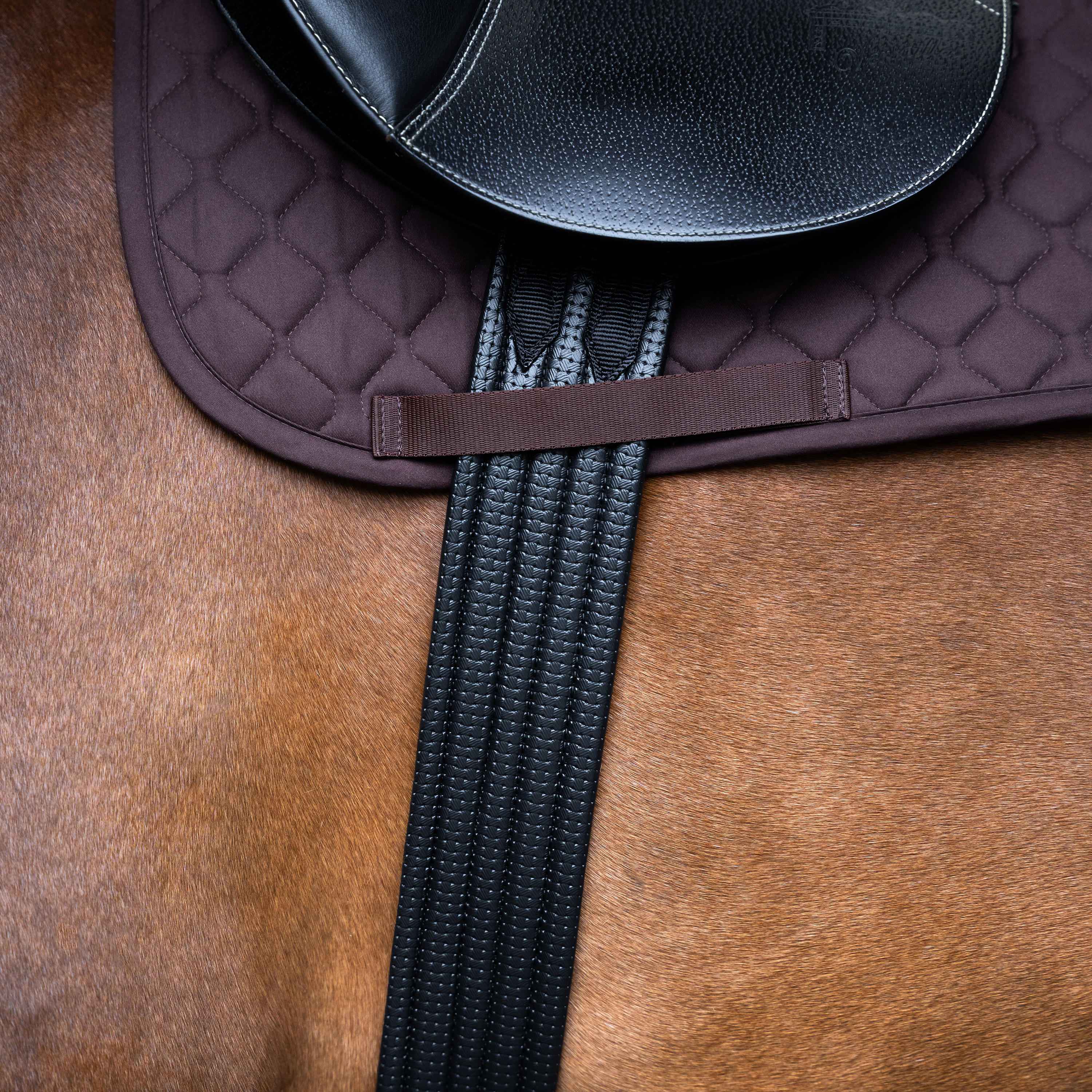 Imperial Riding Hoppgördel Basic - Svart - 2