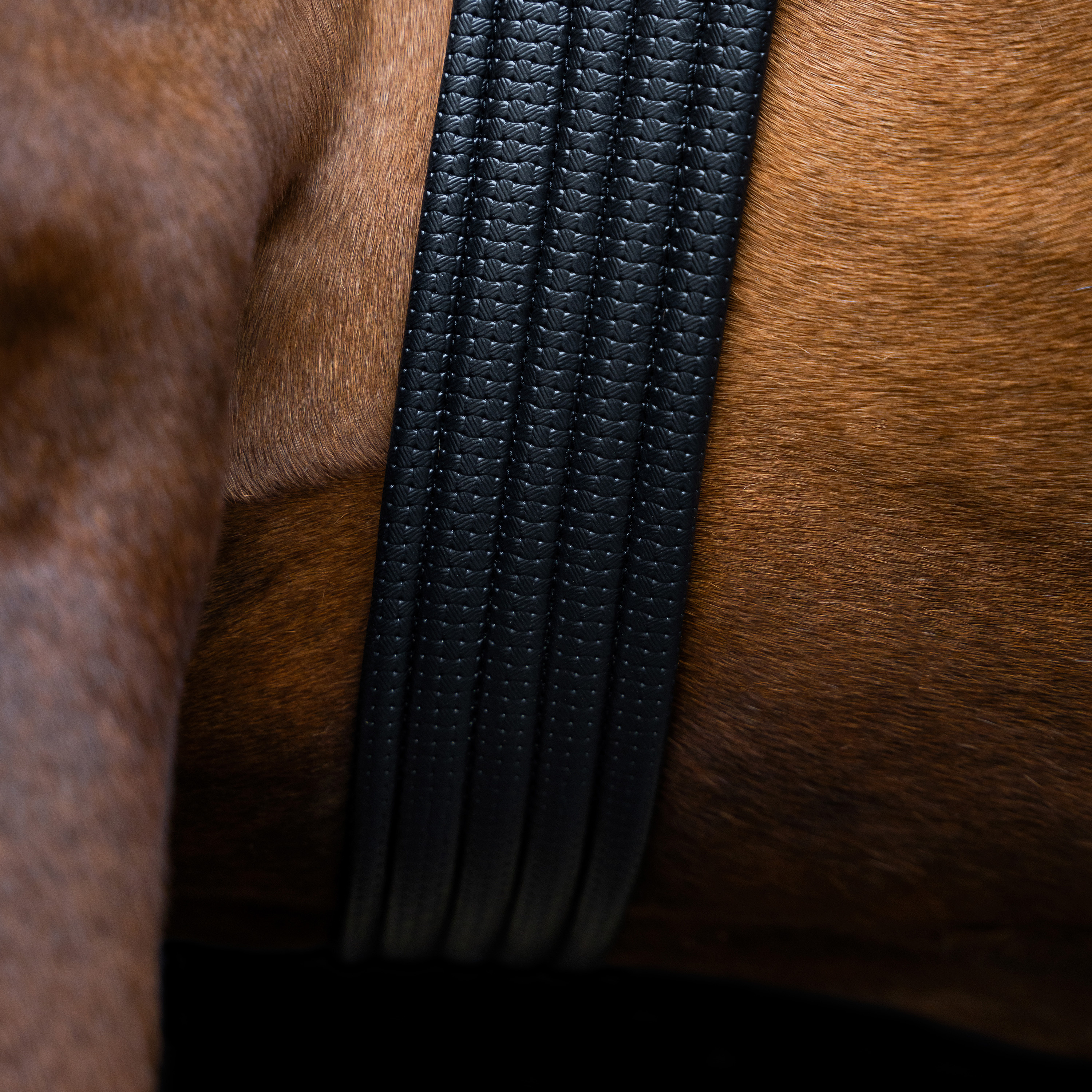 Imperial Riding Hoppgördel Basic - Svart - 4