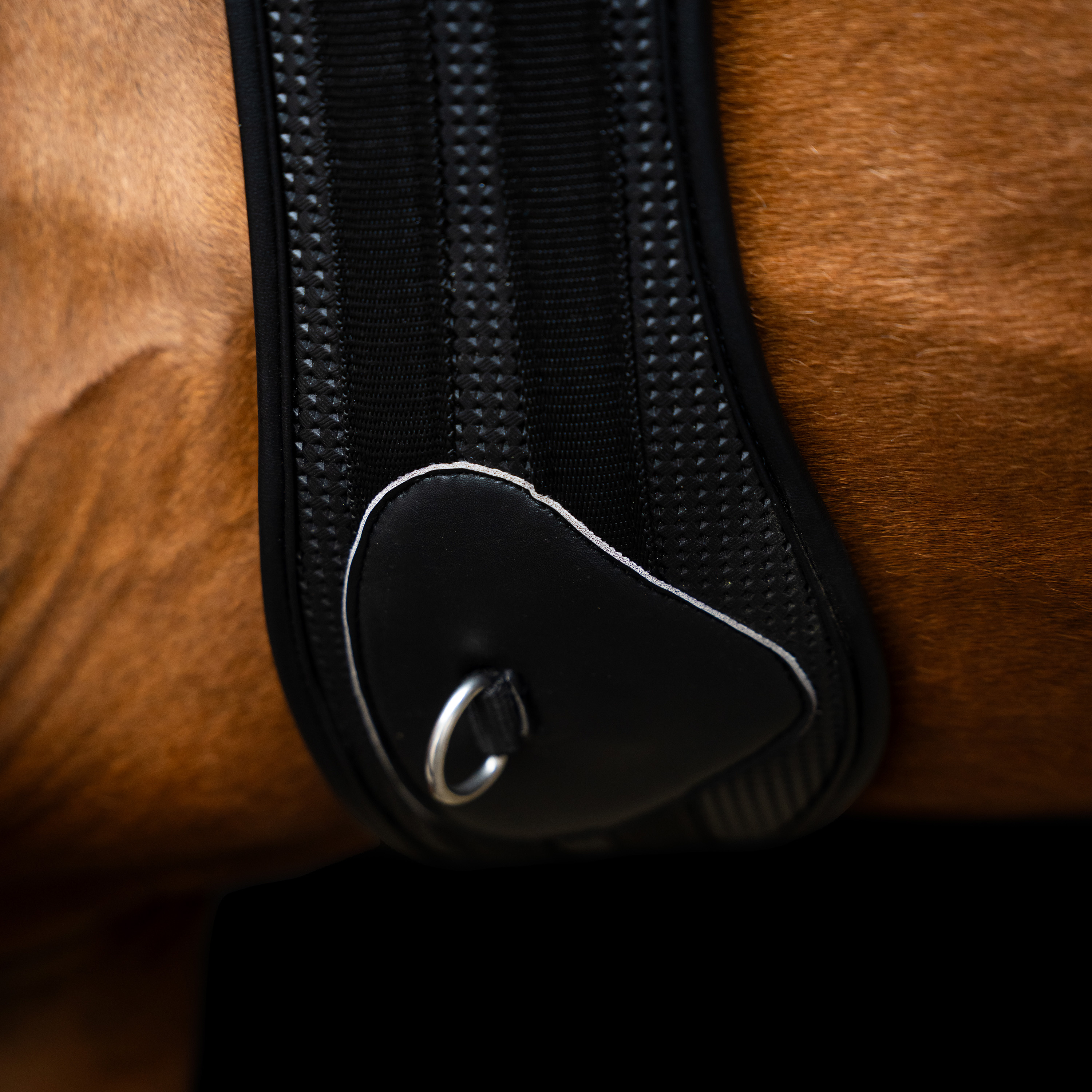 Imperial Riding Esteratsastusvyö Basic anatomic and breathable - Musta - 5