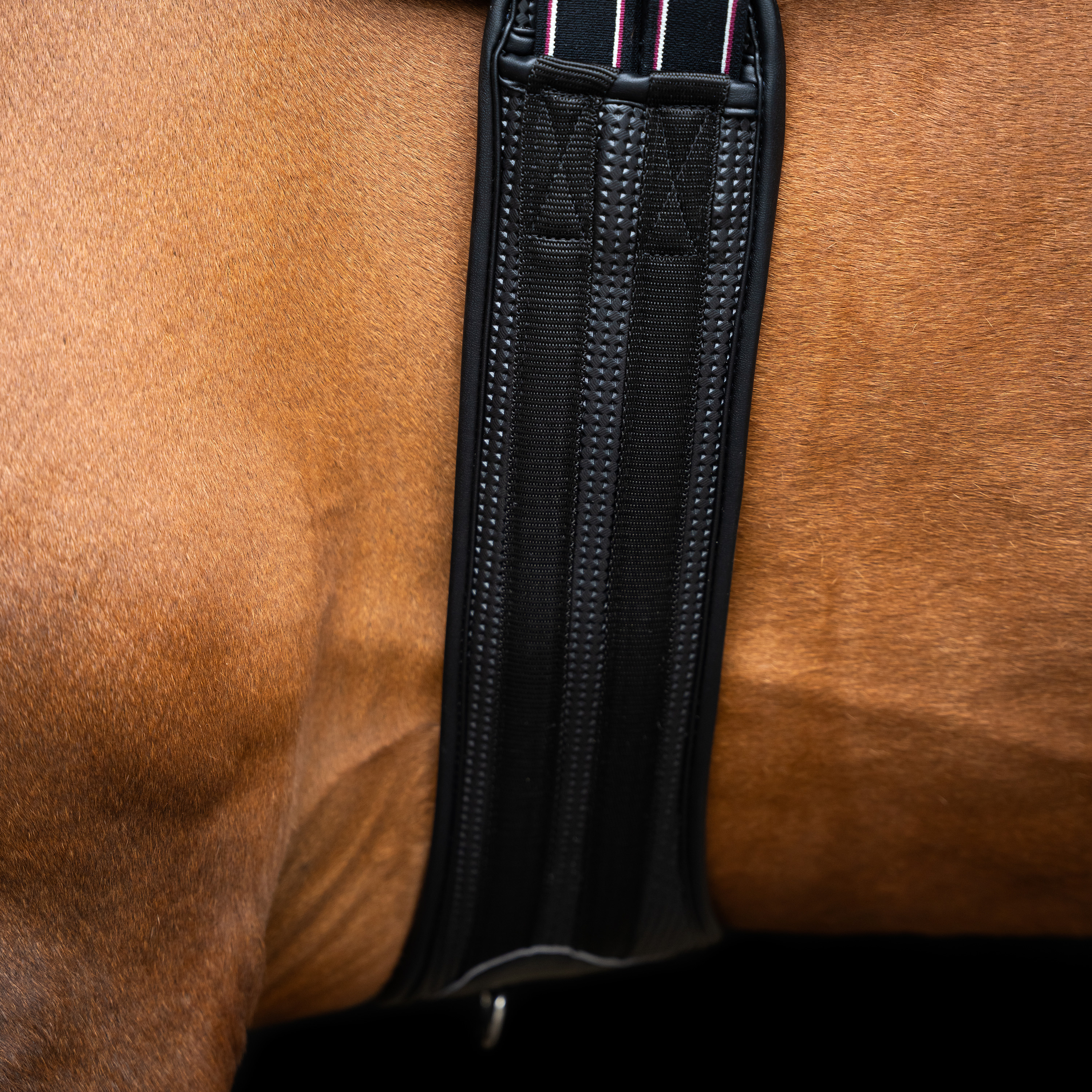 Imperial Riding Esteratsastusvyö Basic anatomic and breathable - Musta - 2