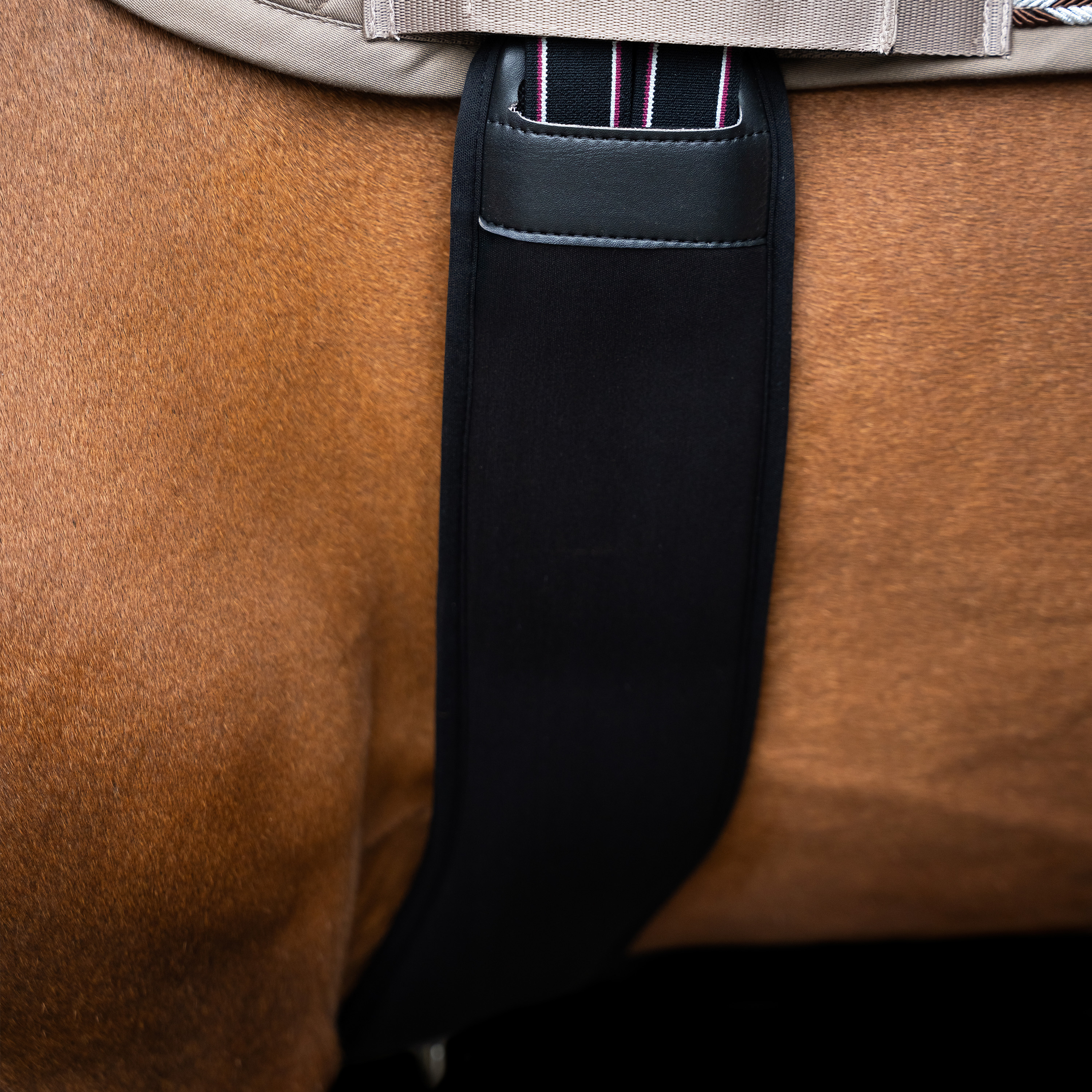 Imperial Riding Jumping girth Basic anatomic and neoprene - Black - 2