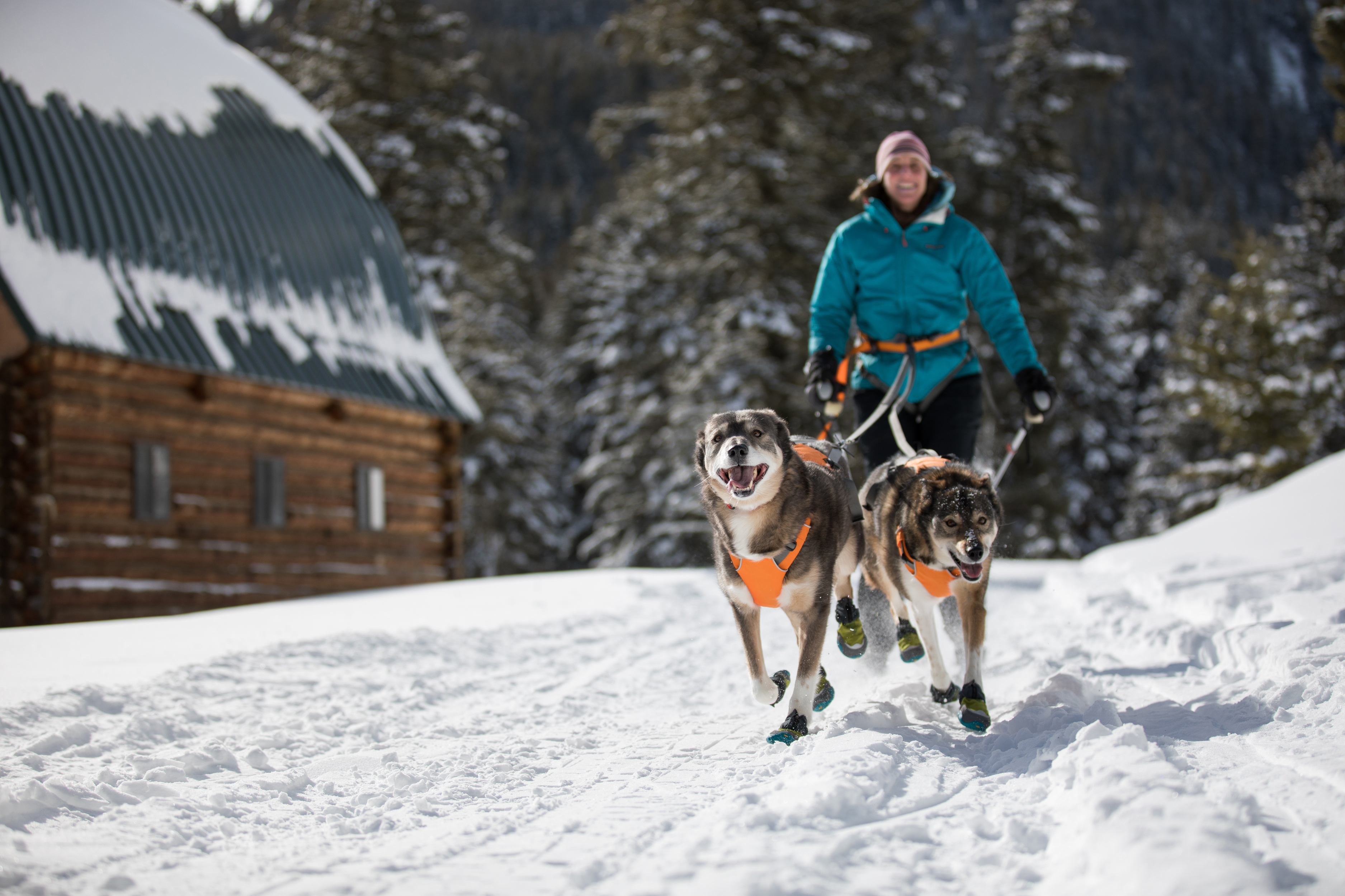 Ruffwear Omnijore Joring System PETSTER