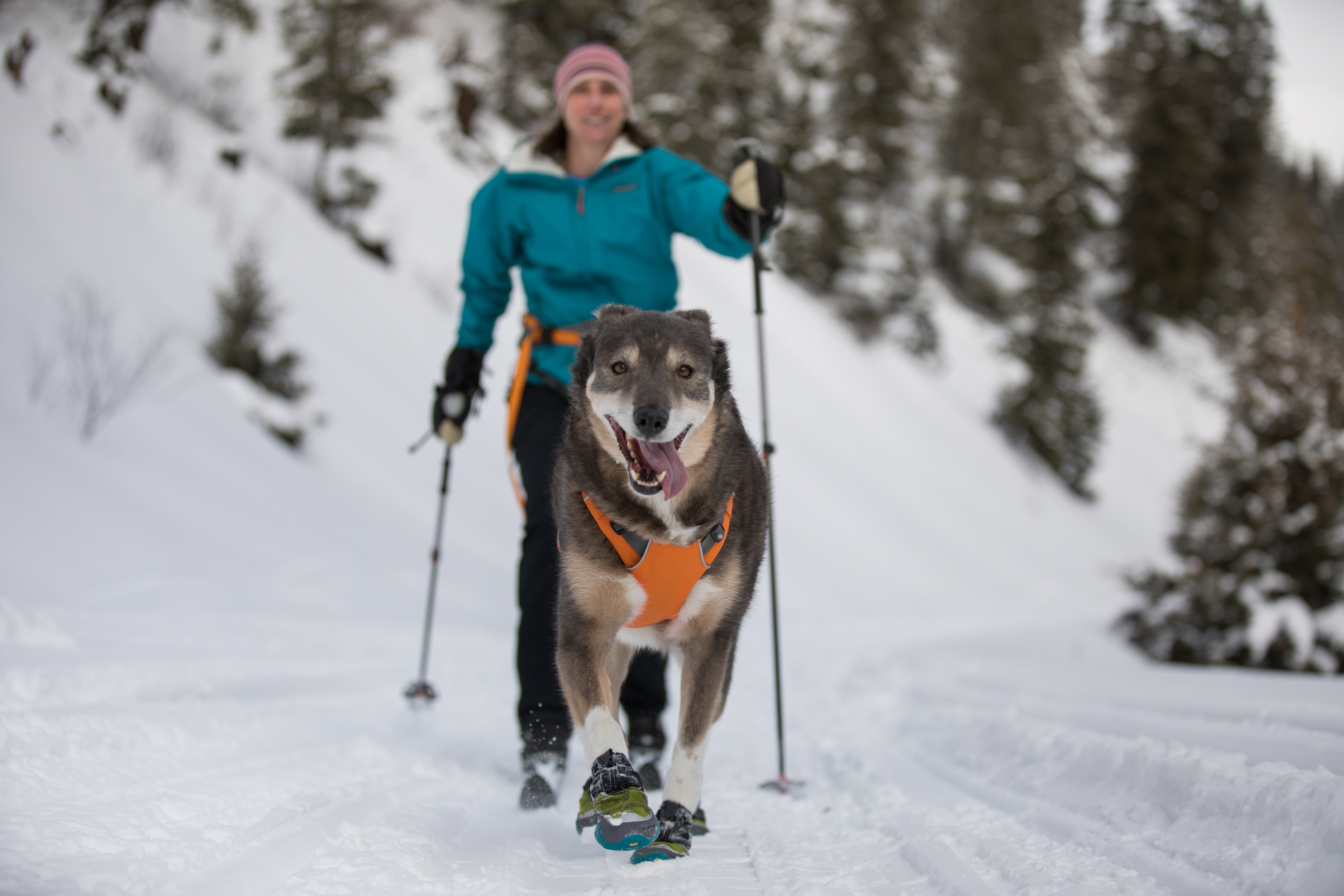 Ruffwear Omnijore Joring System - 11