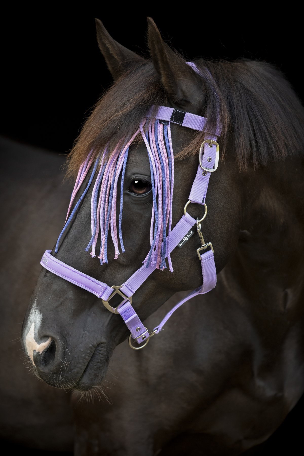 HorseGuard Horse Guard Malva flugpannband med fransar - Lavender, Ponny - 3