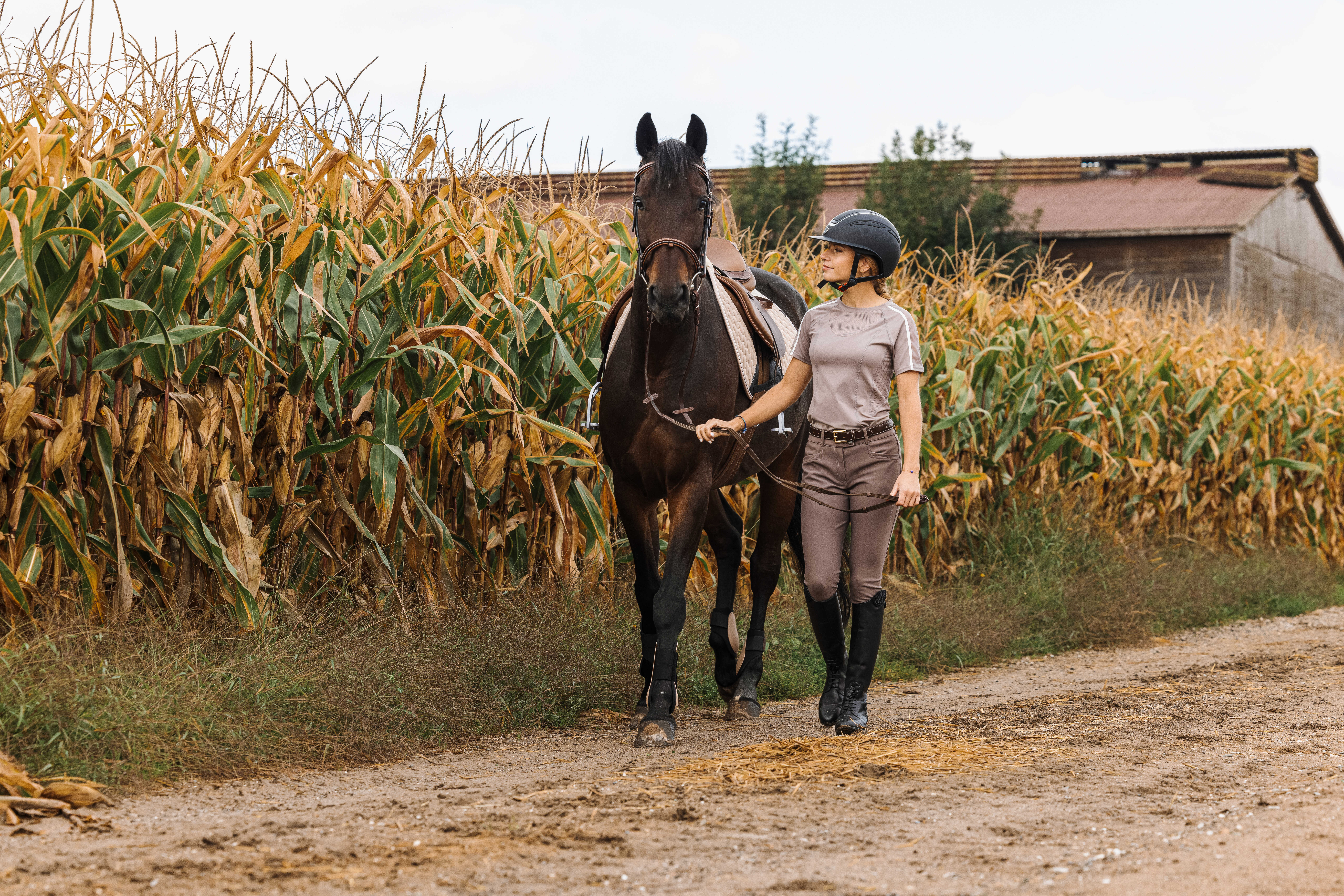 Equitheme Originals Jessie Riding Breeches Taupe - 3