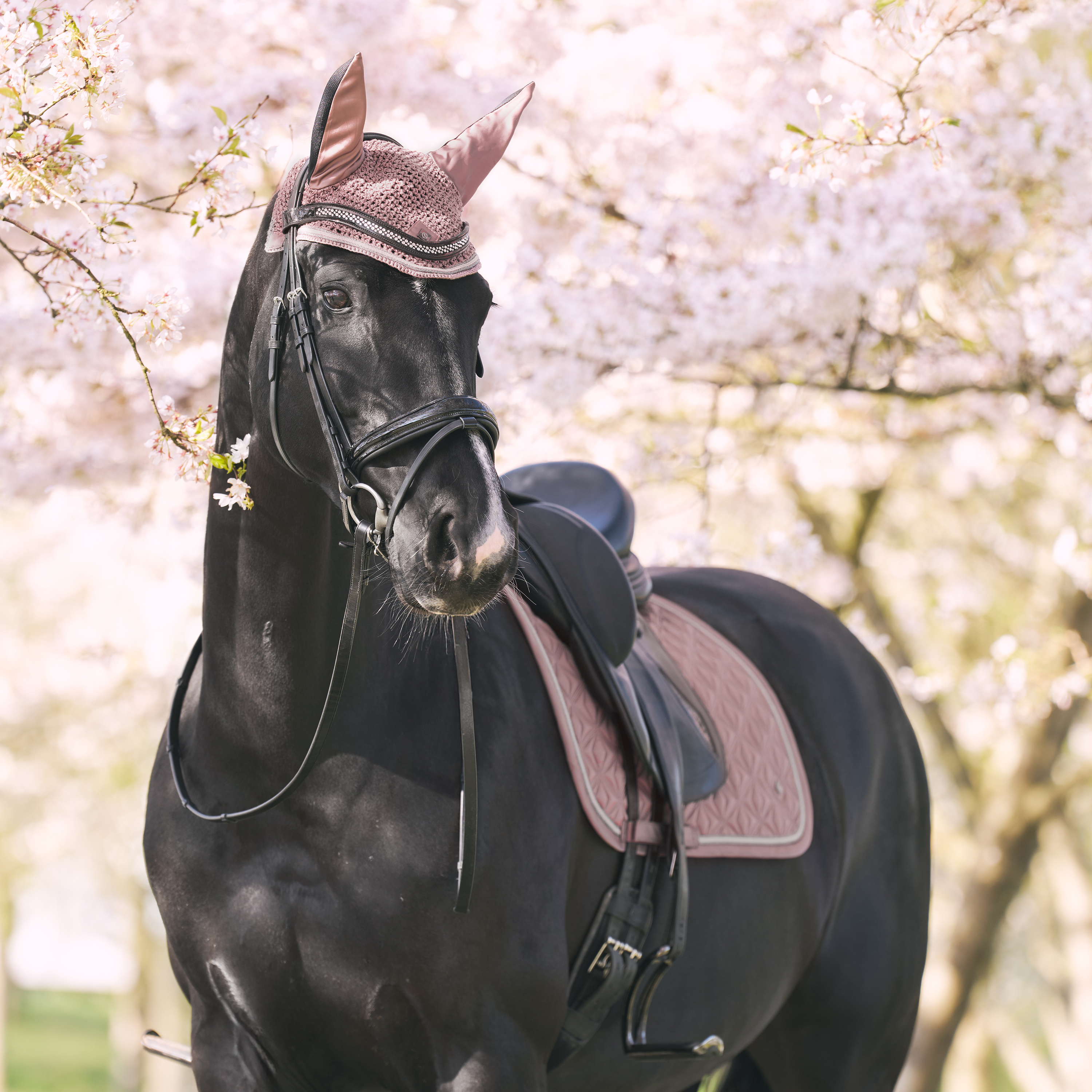Imperial Riding Schabrak Lenny DR - Marmor - 5