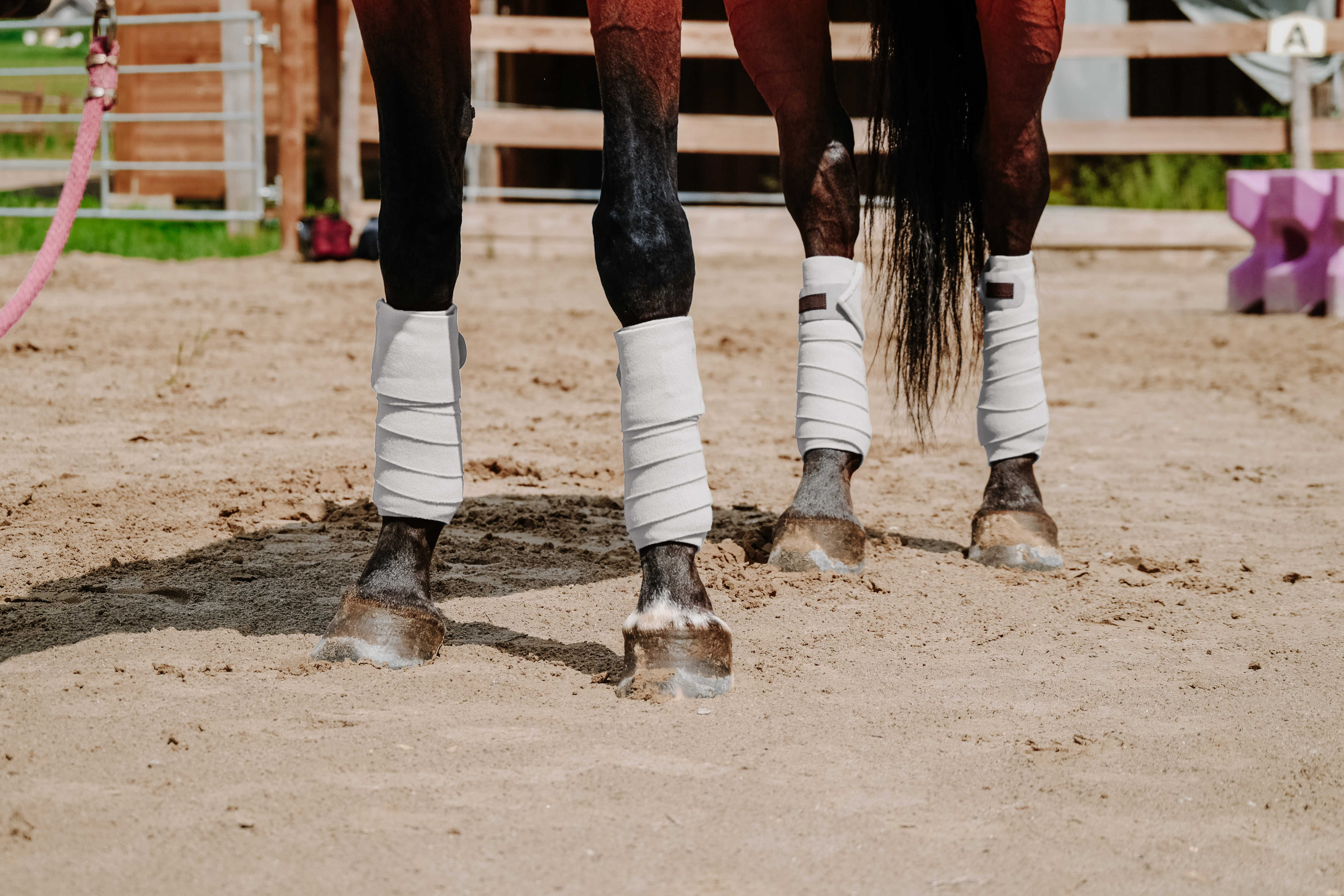 Equitheme Polo Bandages White - 2