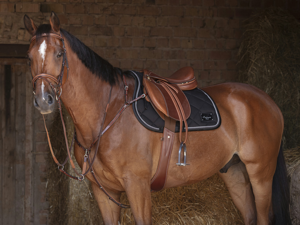 ERIC THOMAS FITTER Stirrup Leathers Chestnut - 137 cm long - 2