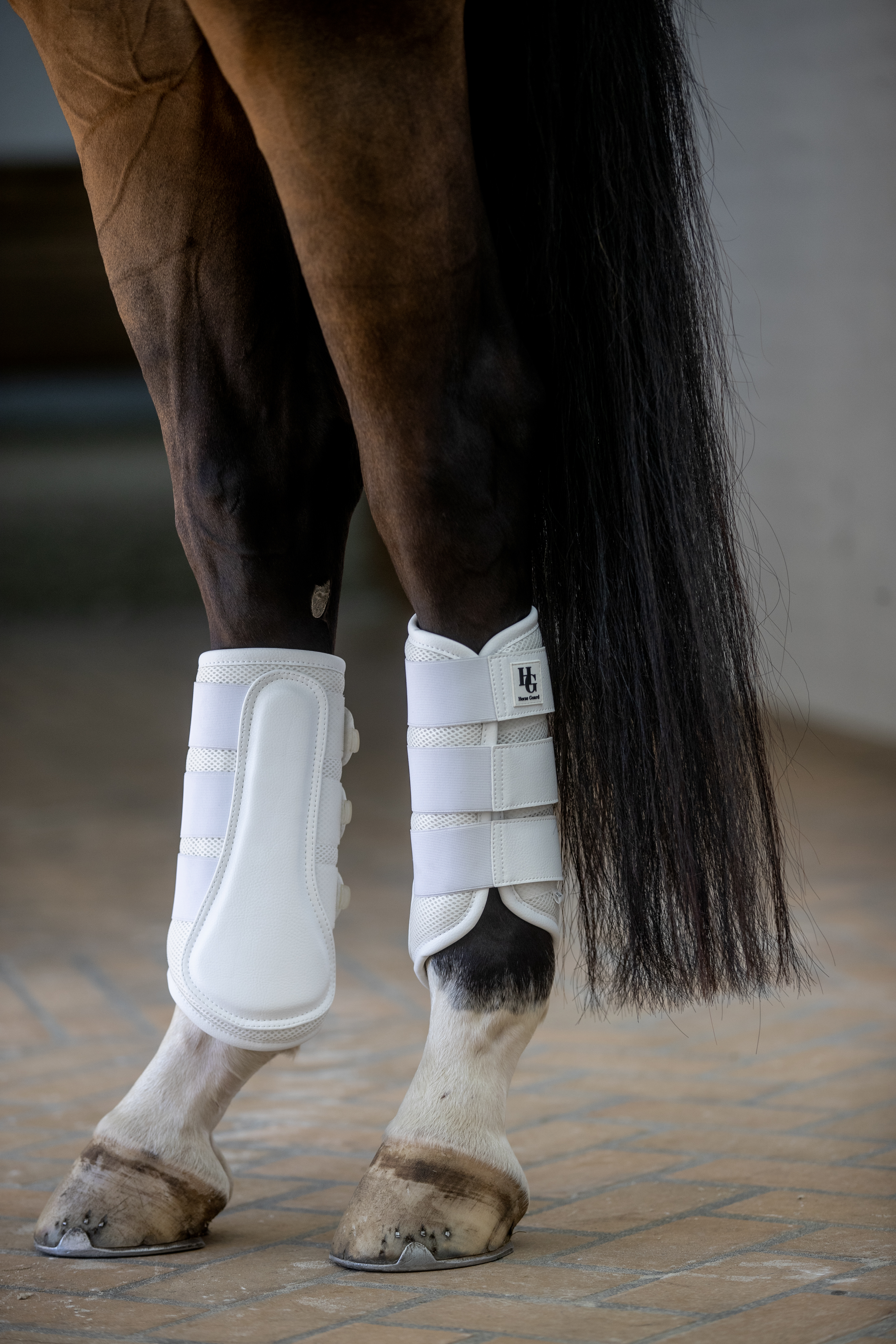 HorseGuard Timothy Mesh Tendon Boots  - White, XL - 3