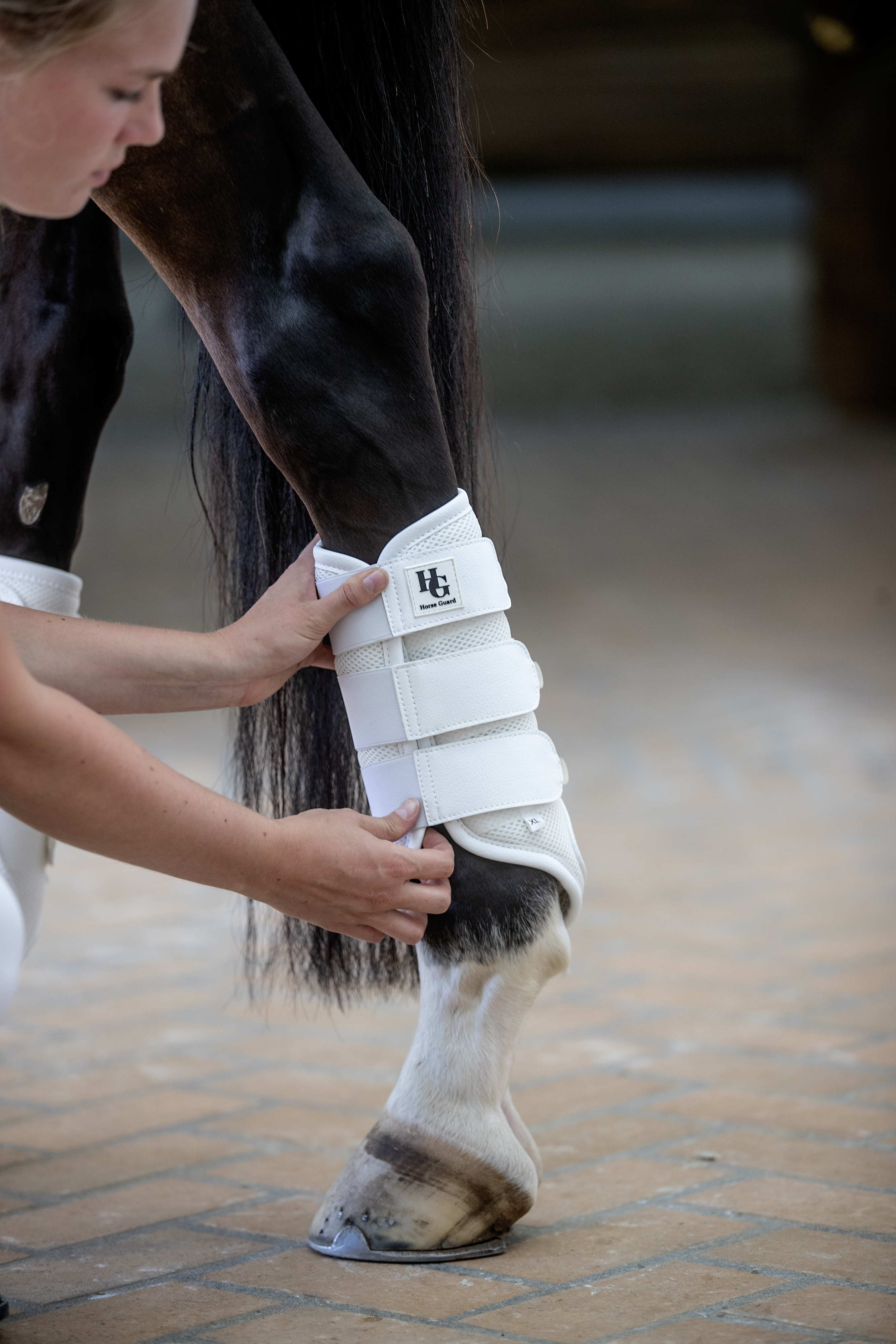 HorseGuard Timothy Mesh Tendon Boots  - White, XL - 2