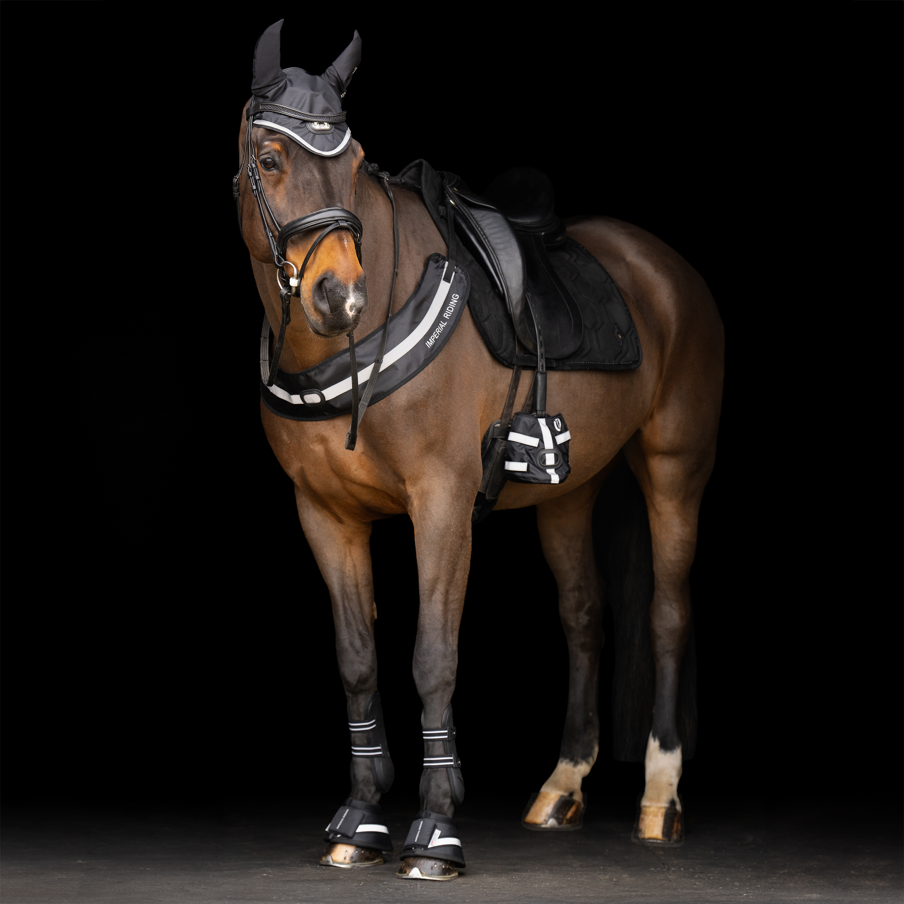 Imperial Riding Bröstpannå Luminous - Svart - 6