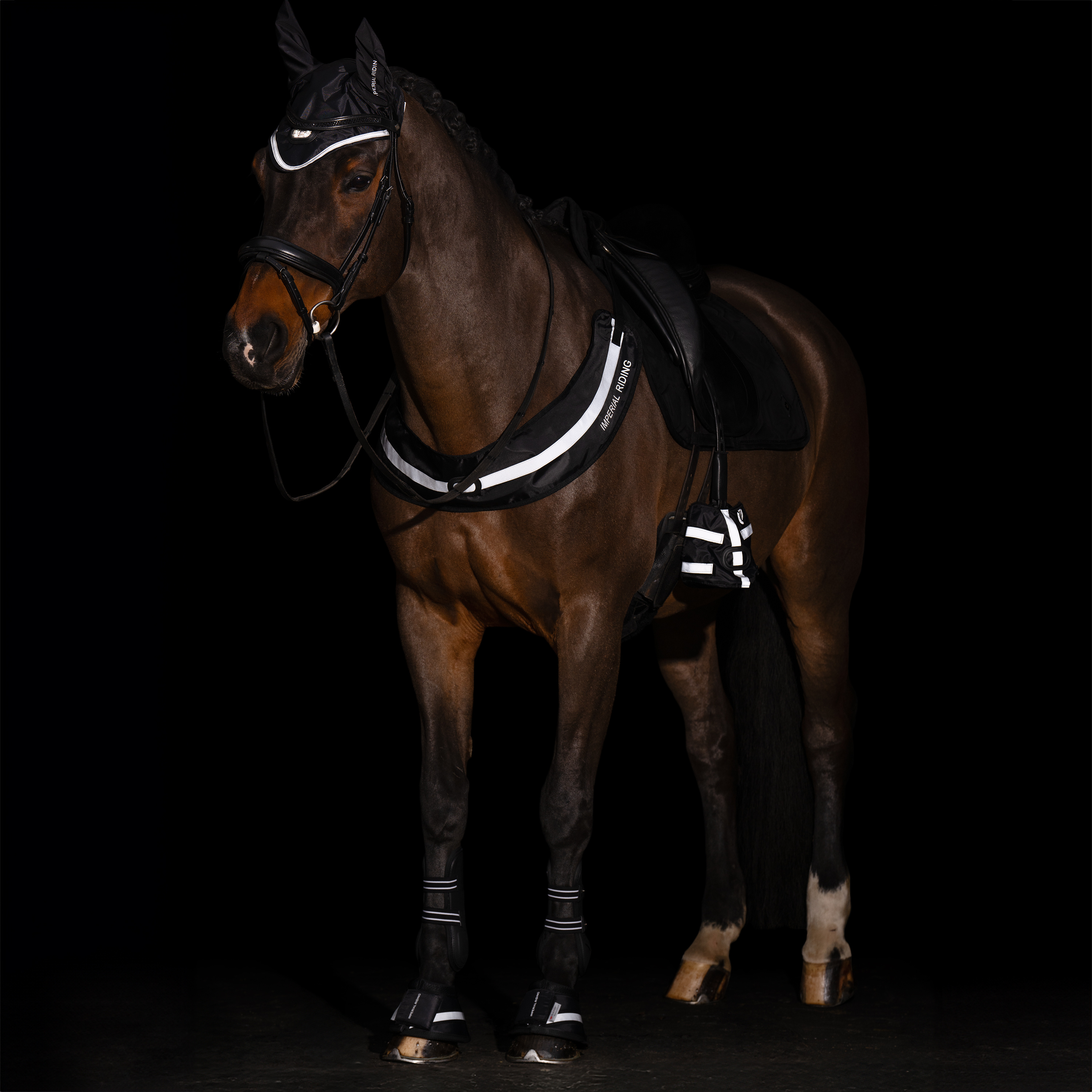 Imperial Riding Bröstpannå Luminous - Svart - 4