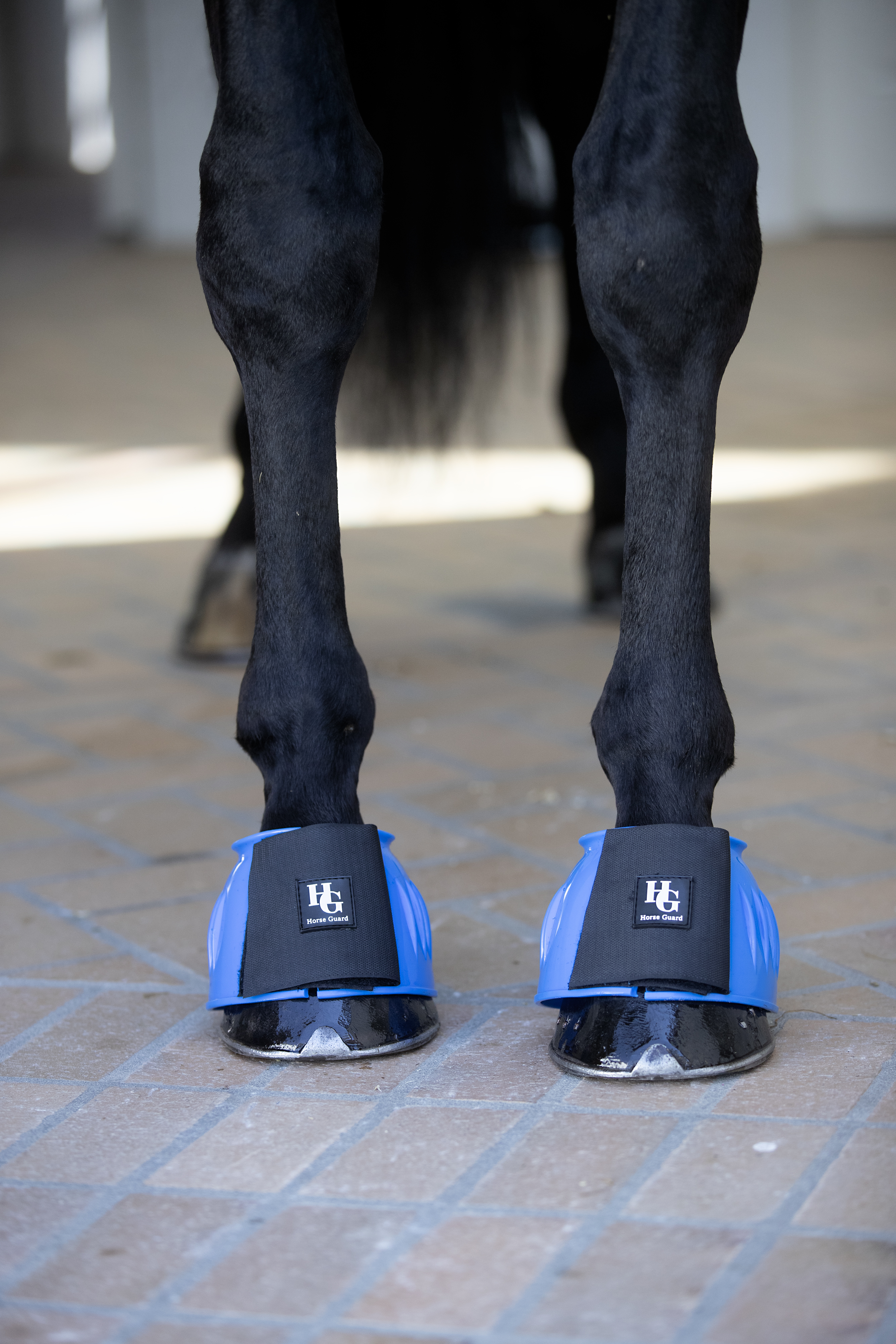 HorseGuard Tamsin Bootsit - Tummansininen, 2XL