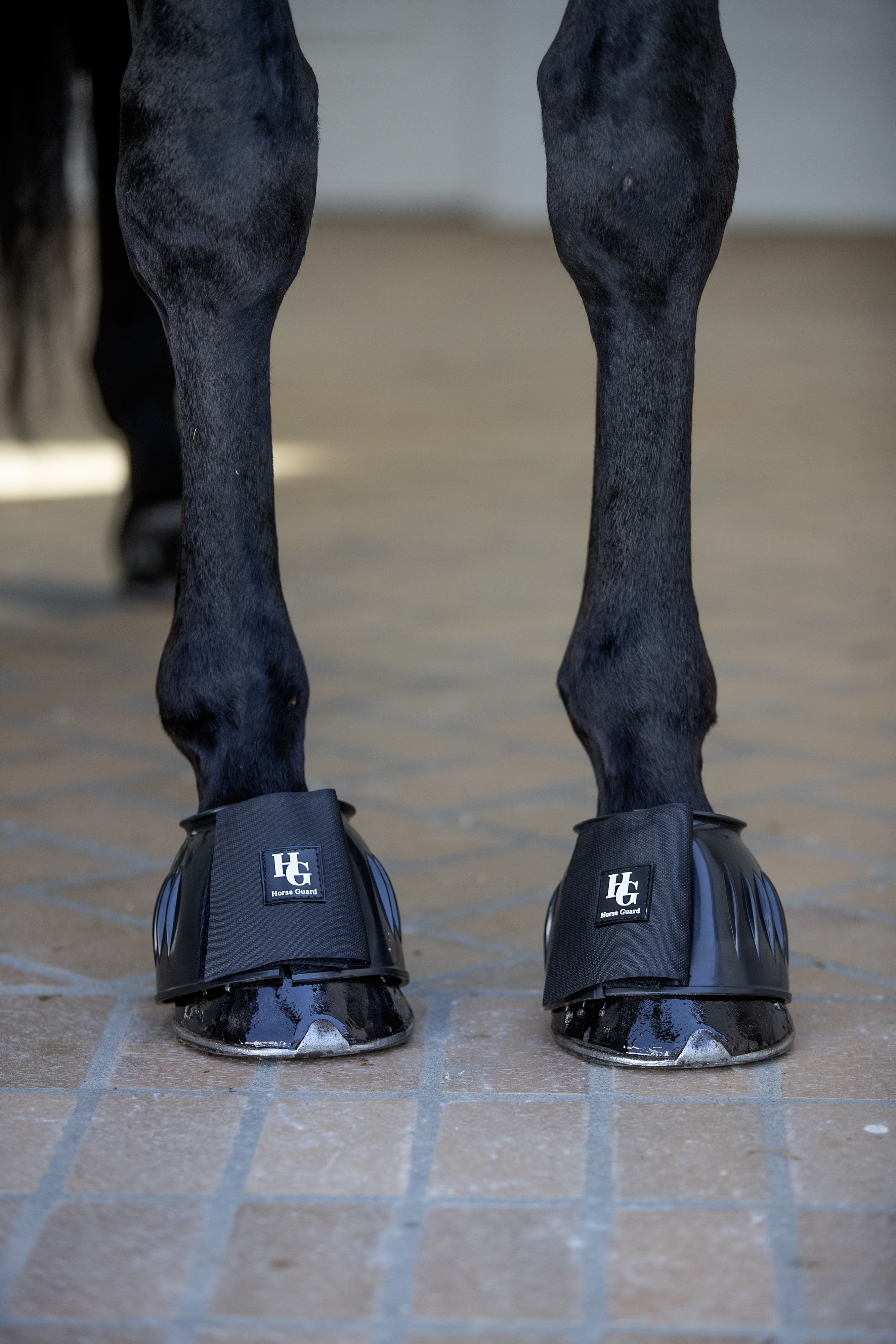 HorseGuard Tamsin Bootsit - Musta, 2XL