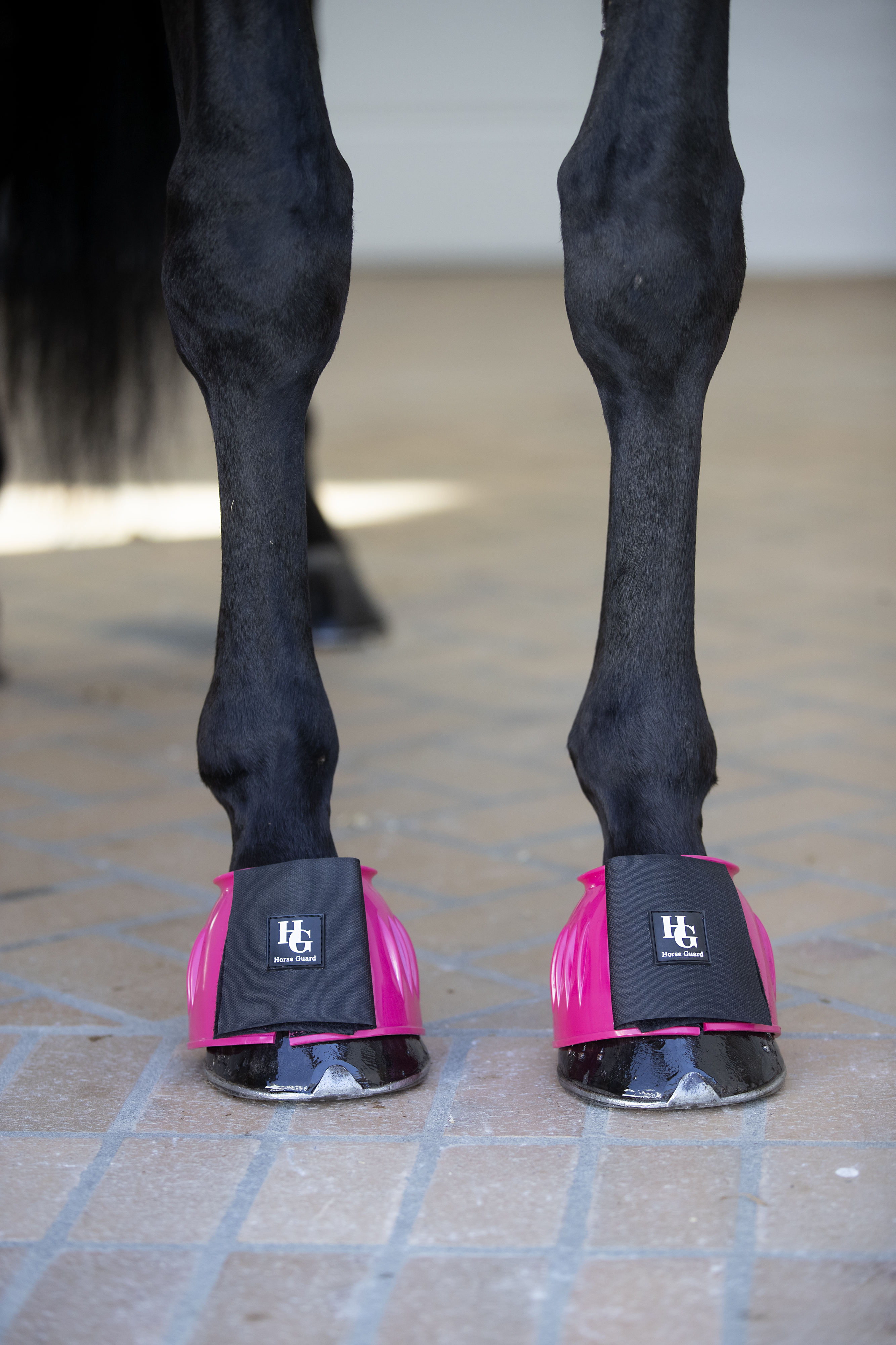 HorseGuard Tamsin Bell Boots - Neon Pink, S