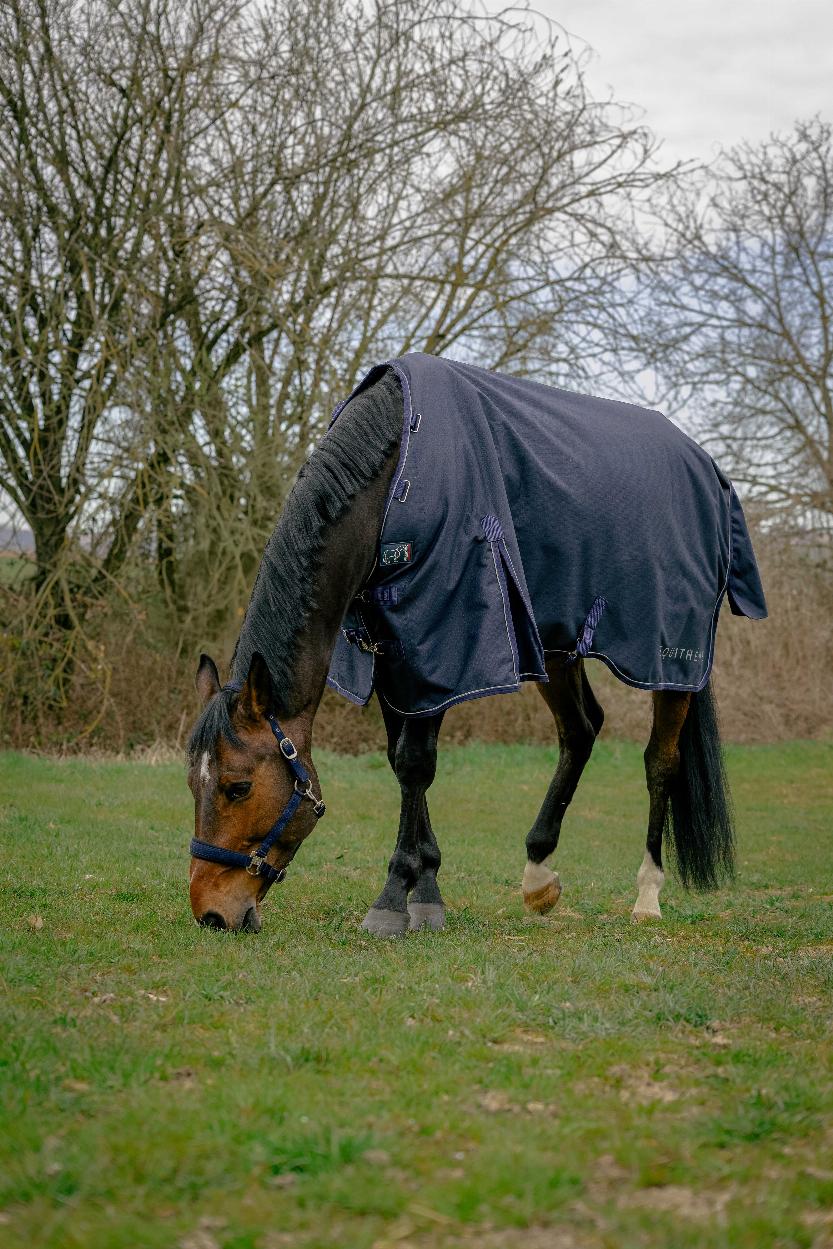 Equithème Anatomic 1200 D Combo Utetäcke med Fast Hals, 50 g Navy (5'9 - 125 cm)