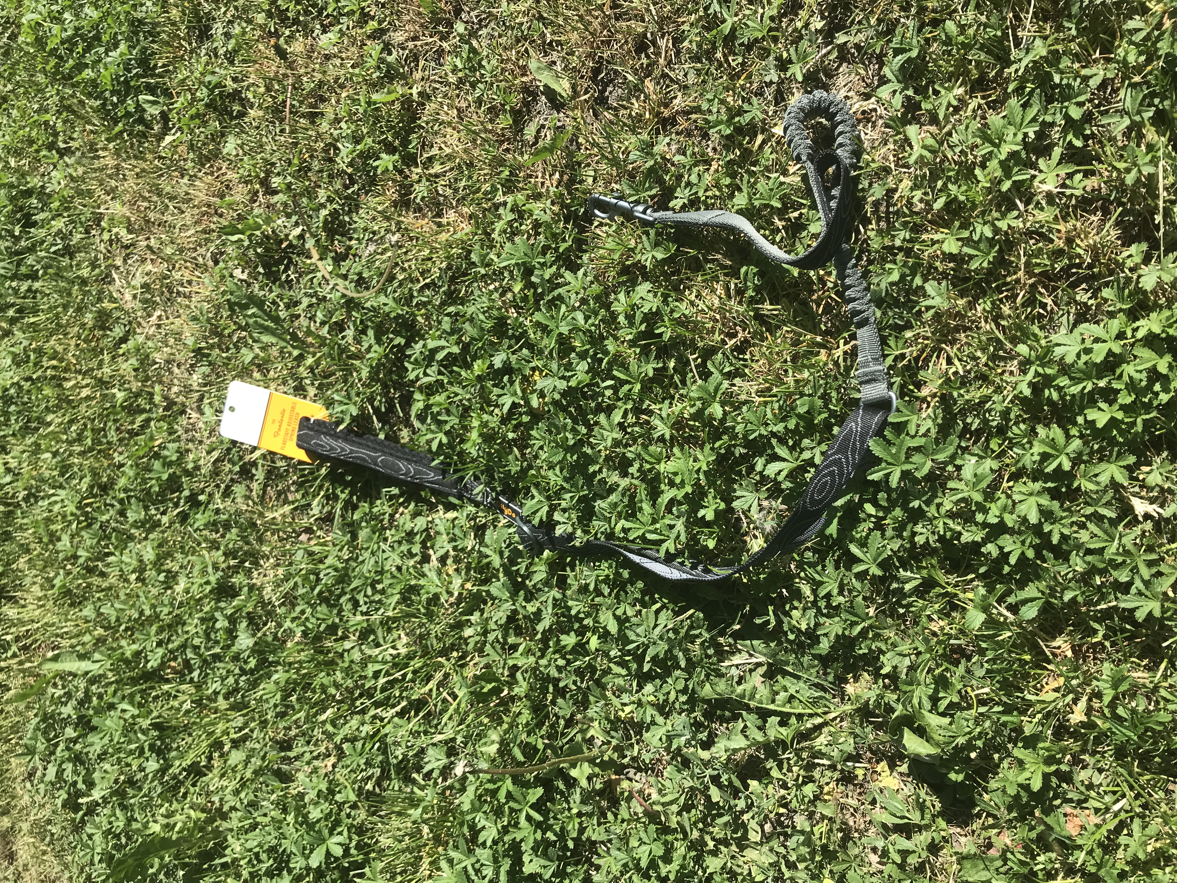 OllyDog  - Flagstaff Adjustable Spring Leash  -  Raven Bark - only this copy
