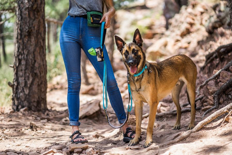 OllyDog  - Flagstaff Adjustable Spring Leash  -  Raven Bark - only this copy - 5