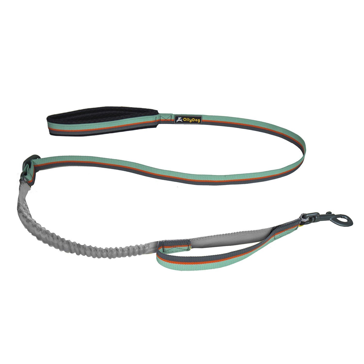 OllyDog  - Flagstaff Adjustable Spring Leash  -  Surf - only this copy