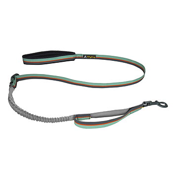 OllyDog  - Flagstaff Adjustable Spring Leash  -  Surf - only this copy