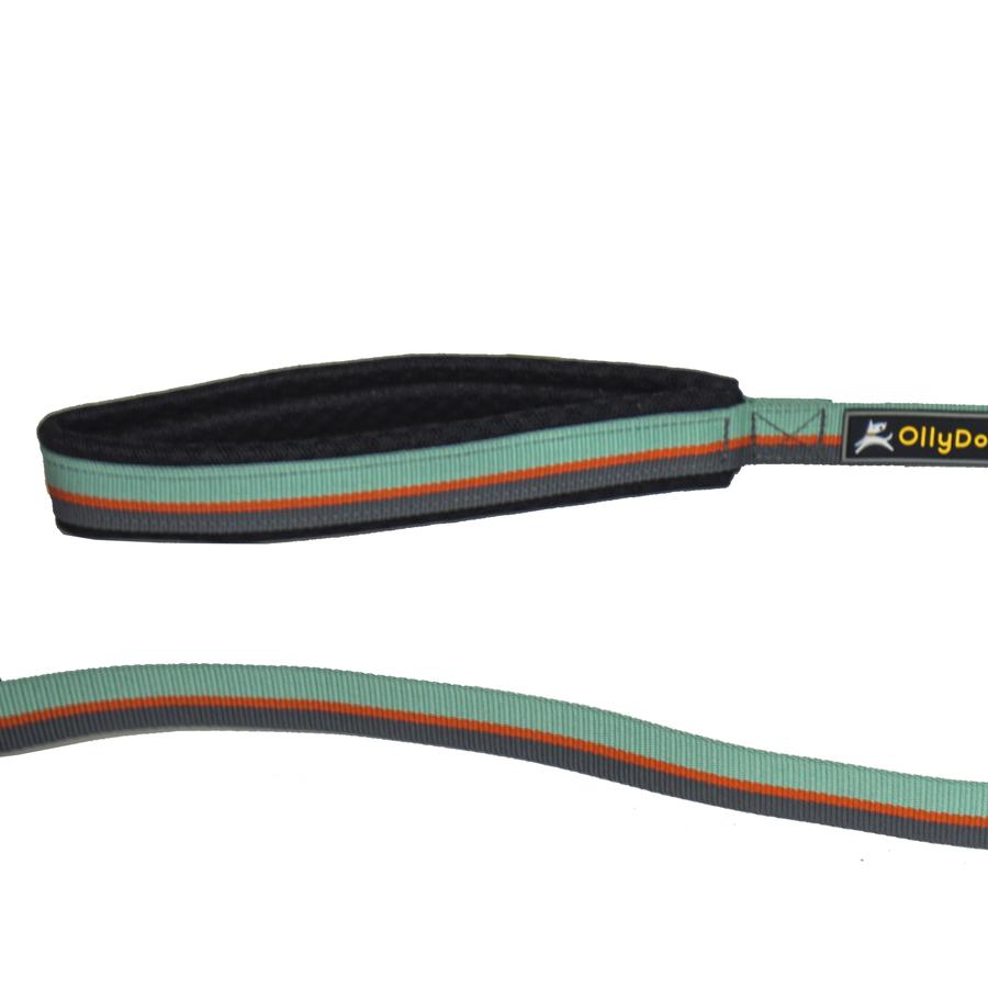 OllyDog  - Flagstaff Adjustable Spring Leash  -  Surf - only this copy - 3