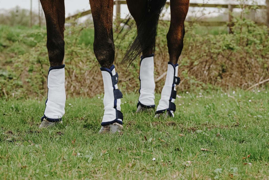 RIDING WORLD - X4 - Anti-fly Boots White, Full - 5