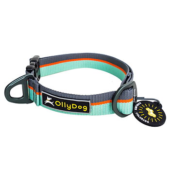 OllyDog Flagstaff Collar- Surf, 46-74cm - only this copy