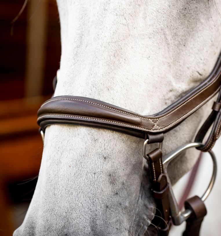 Bridon Horseware Rambo Micklem 2 Compétition