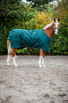 HorseGuard Landon 1200D Hästtäcke - 100g - Ponderosa Pine, 145