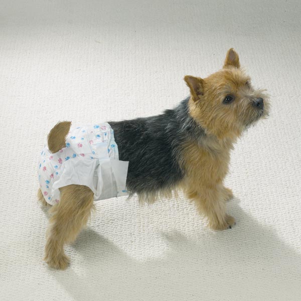 ClearQuest Nappys Hundewindel - 10 Stück - 3