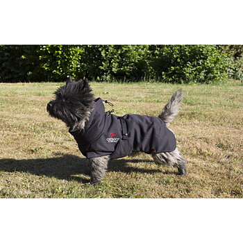 Catago FIR-Tech Dog blanket, 55