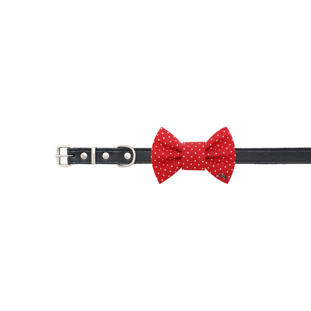 Funky Dog - Bowtie Dog and Cat - Red with white dots  - 5