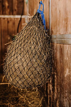 Hippotonic Hot Temperature Heinäverkko Musta