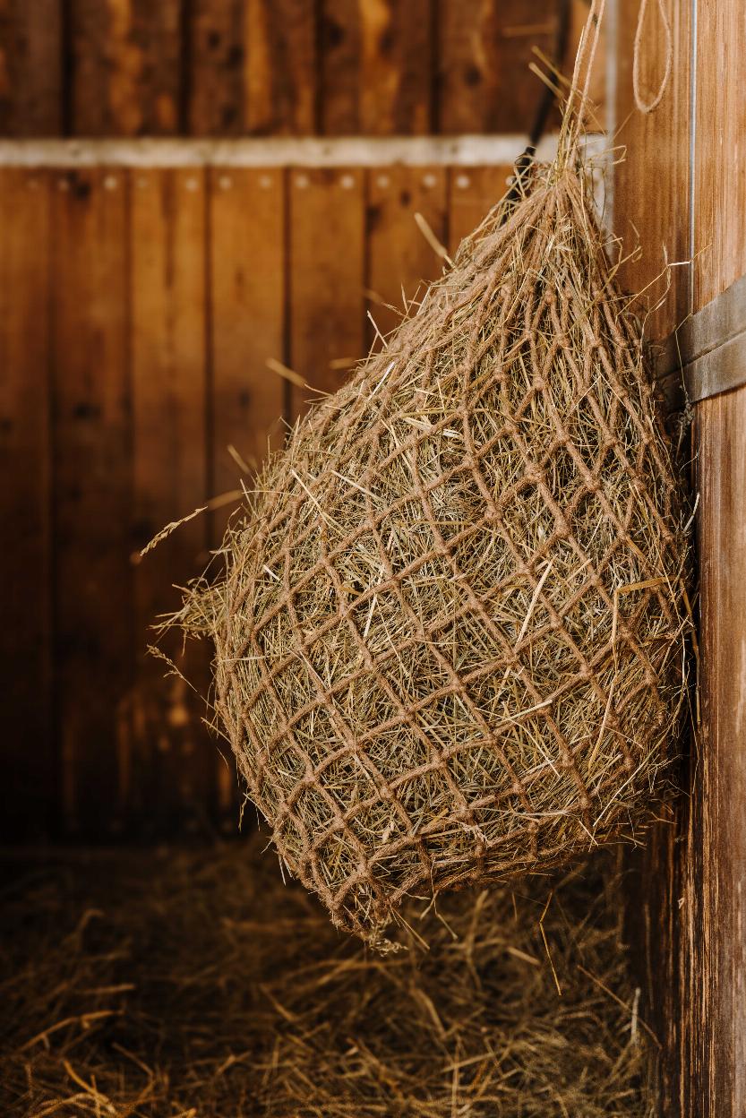 Hippotonic Naturel Hönät Natural