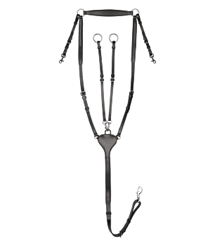 Waldhausen X-Line Professional Rintaremmimartingaali musta