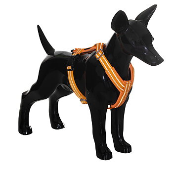 PAIKKA Easy Sele - Orange, 51-80cm - endast detta ex