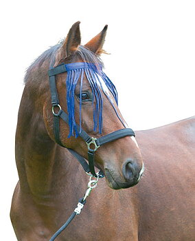 Kerbl Fly Headband - Blue or Red