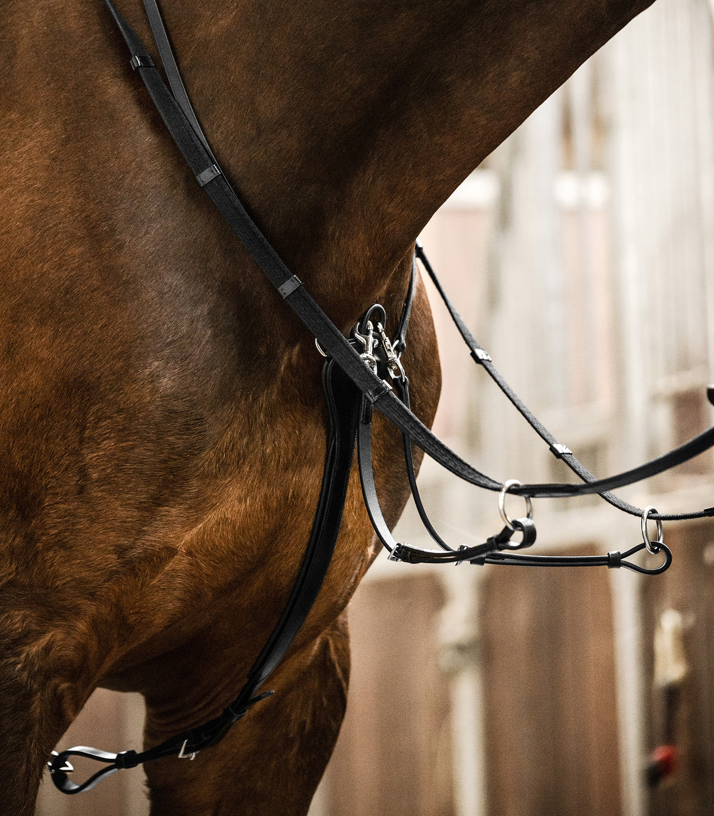 Waldhausen X-Line Martingale, Professional black - 2