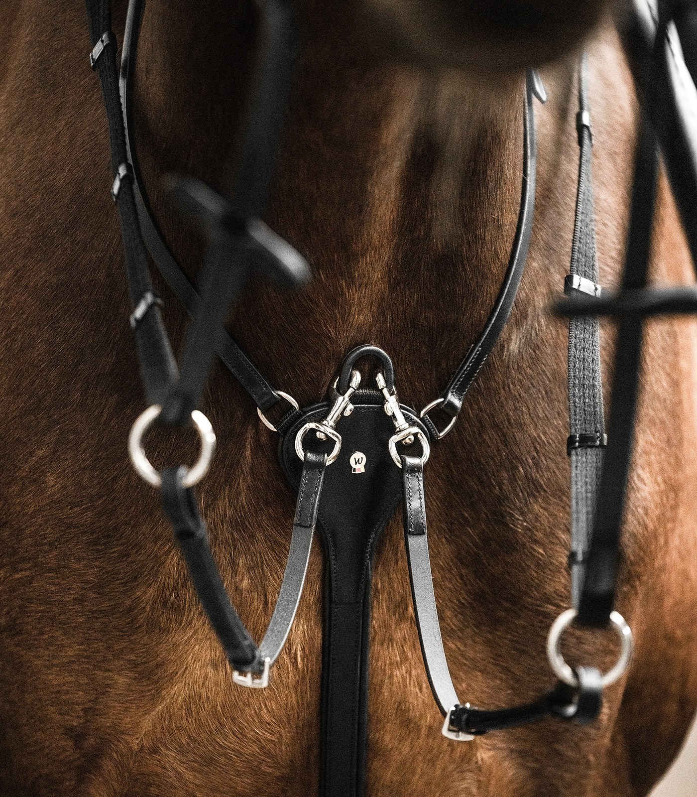 Waldhausen X-Line Martingale, Professional black - 3