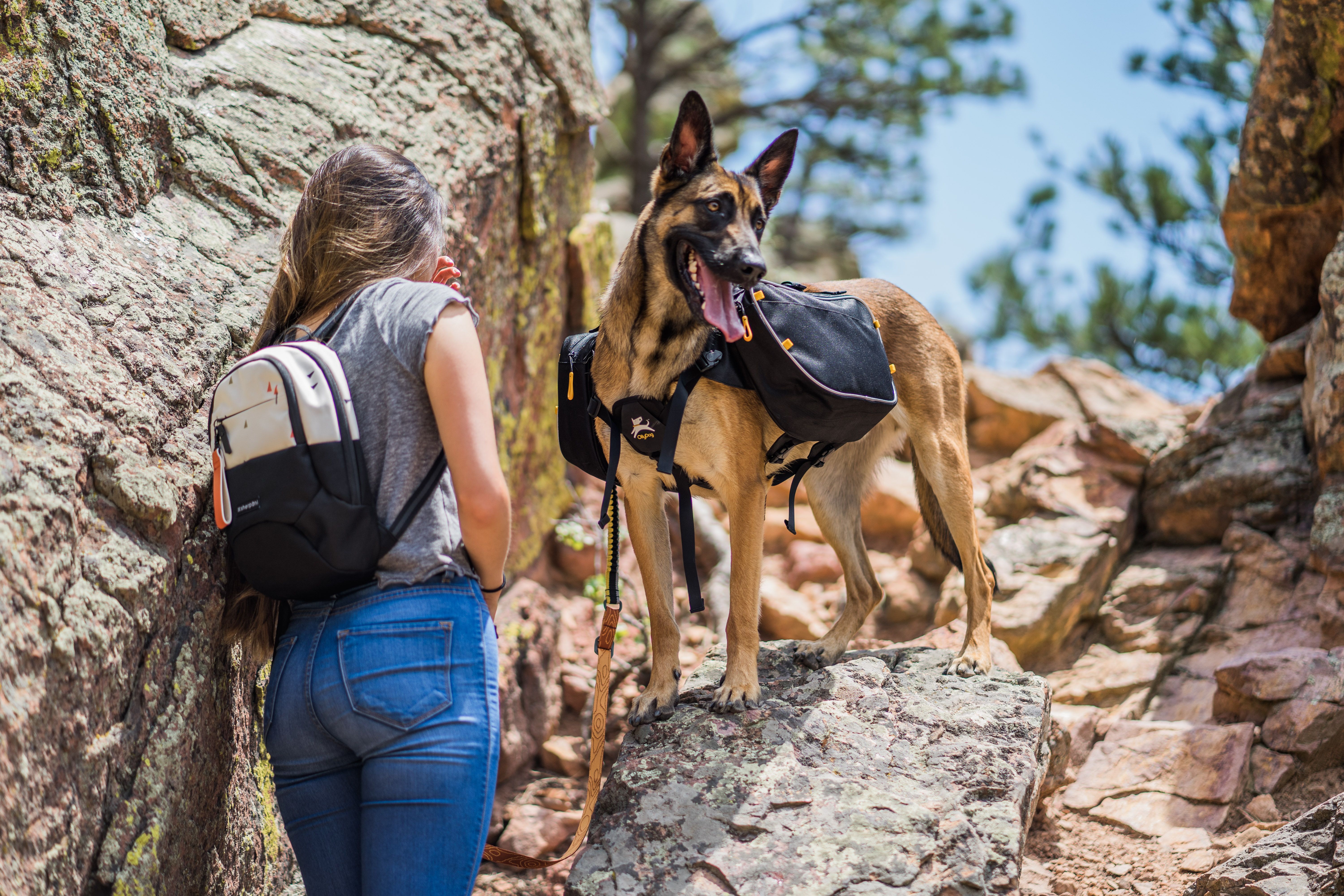 OllyDog Trekker RF koiran kantama reppu- Dahlia, M - vain tämä kappale - 3