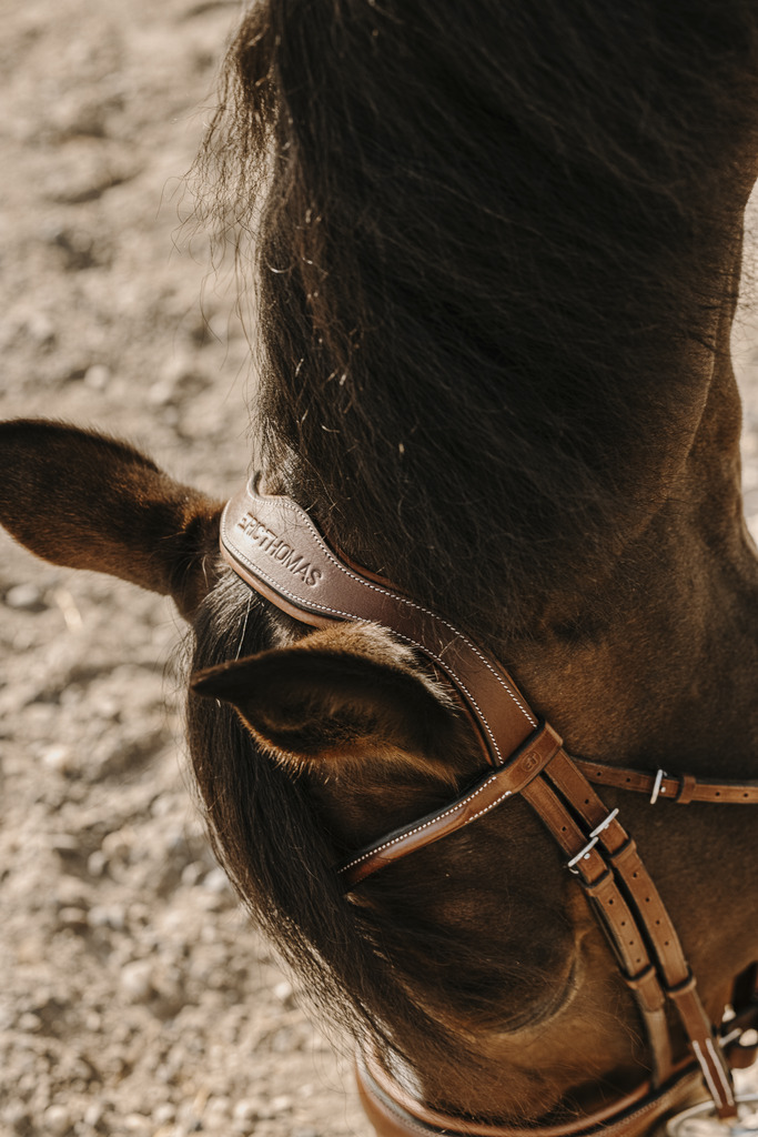 ERIC THOMAS 'Visby' Bridle Havana - 2