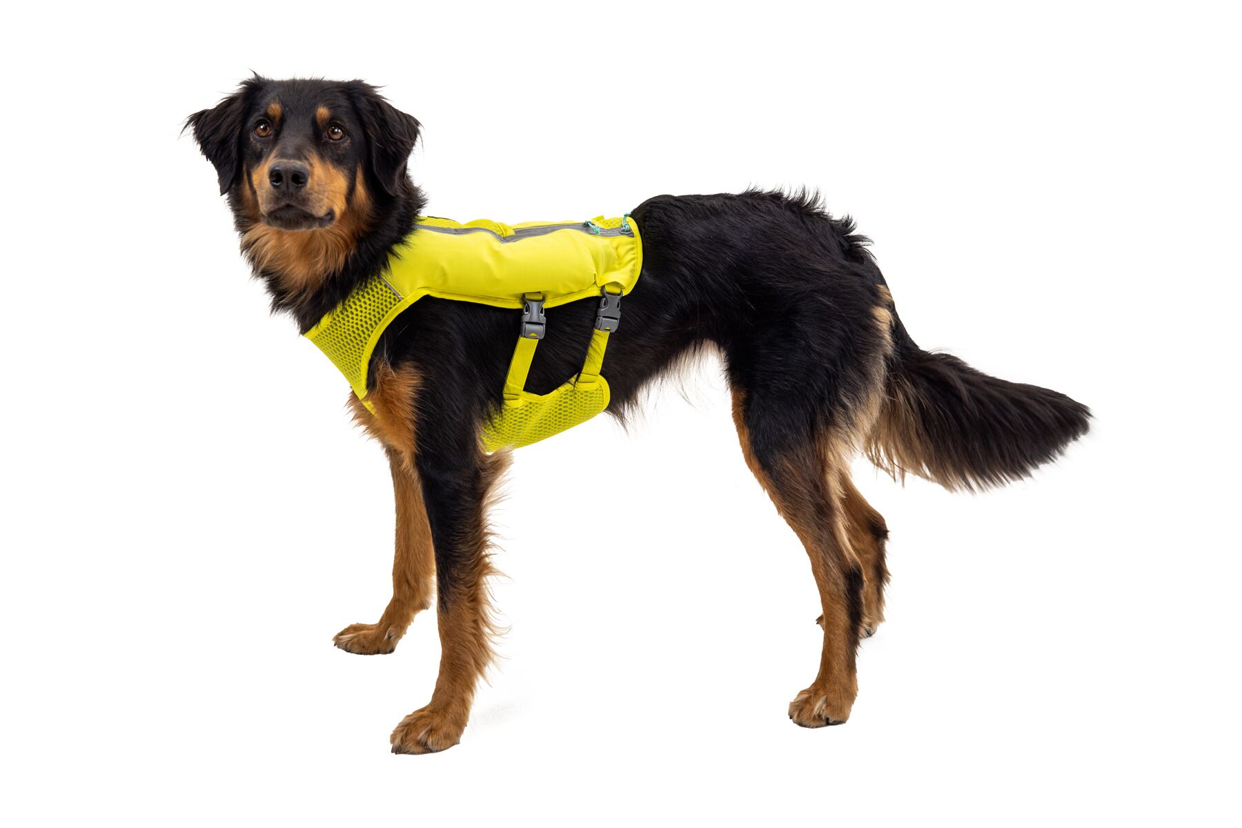 Ruffwear Trail Runner Running Vest Lichen Green