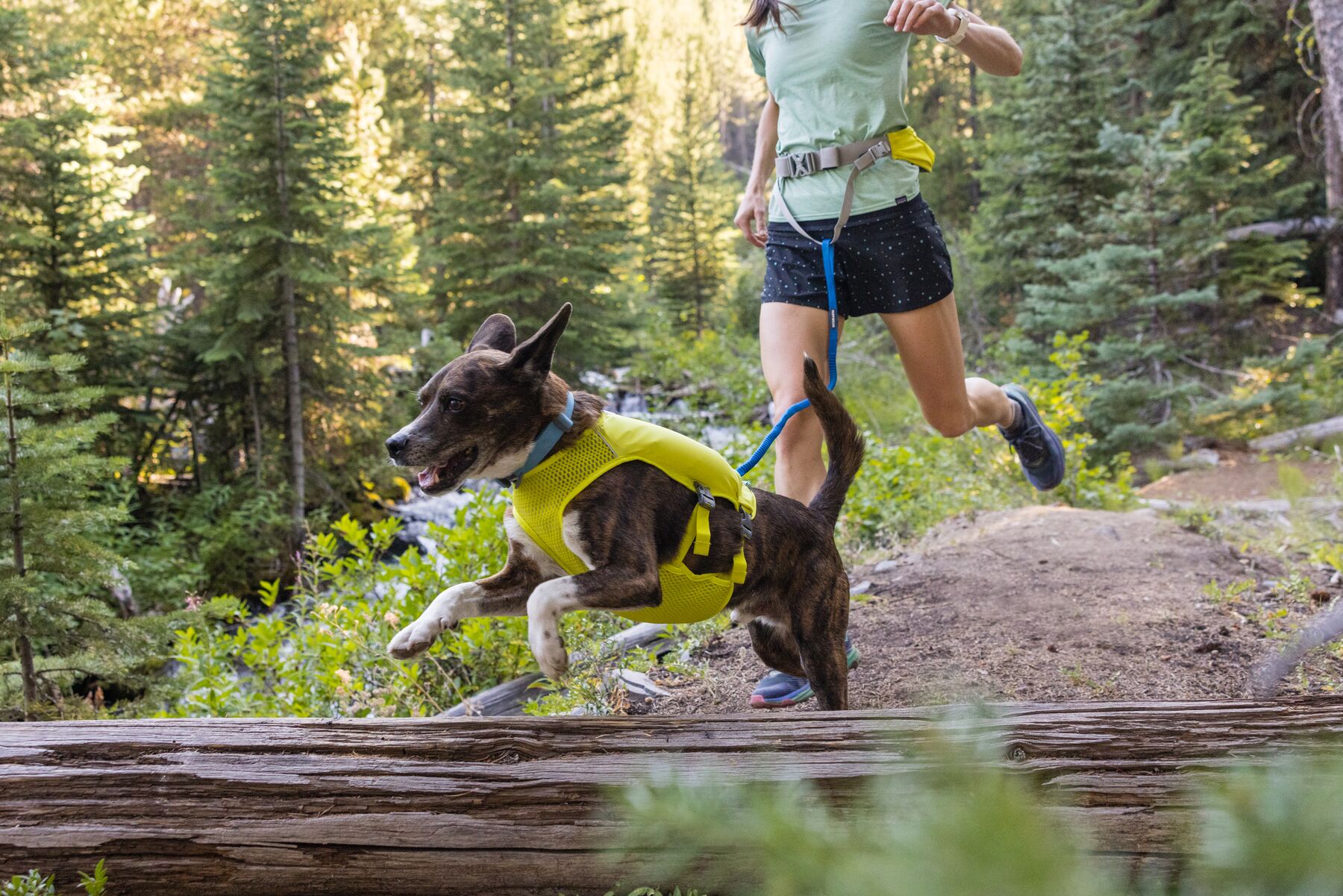 Ruffwear Trail Runner Running Vest - Lichen Green - 8
