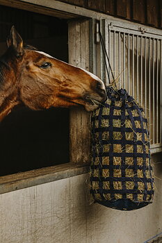 HIPPOTONIC Heinäpussi Aukolla Navy