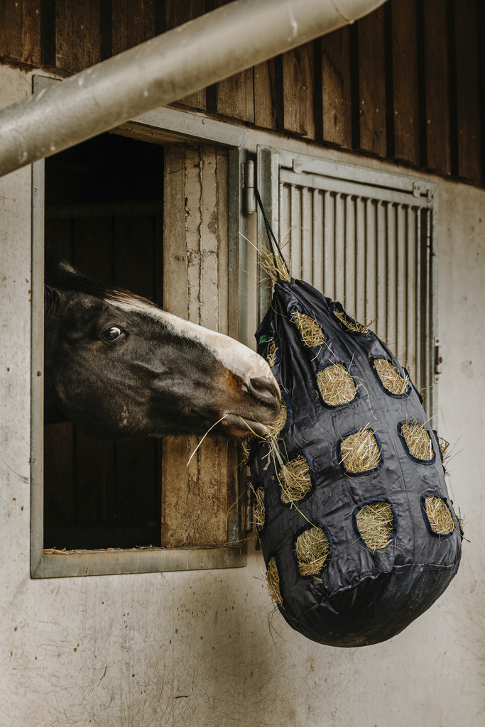 HIPPOTONIC Höpåse Med Hål Navy