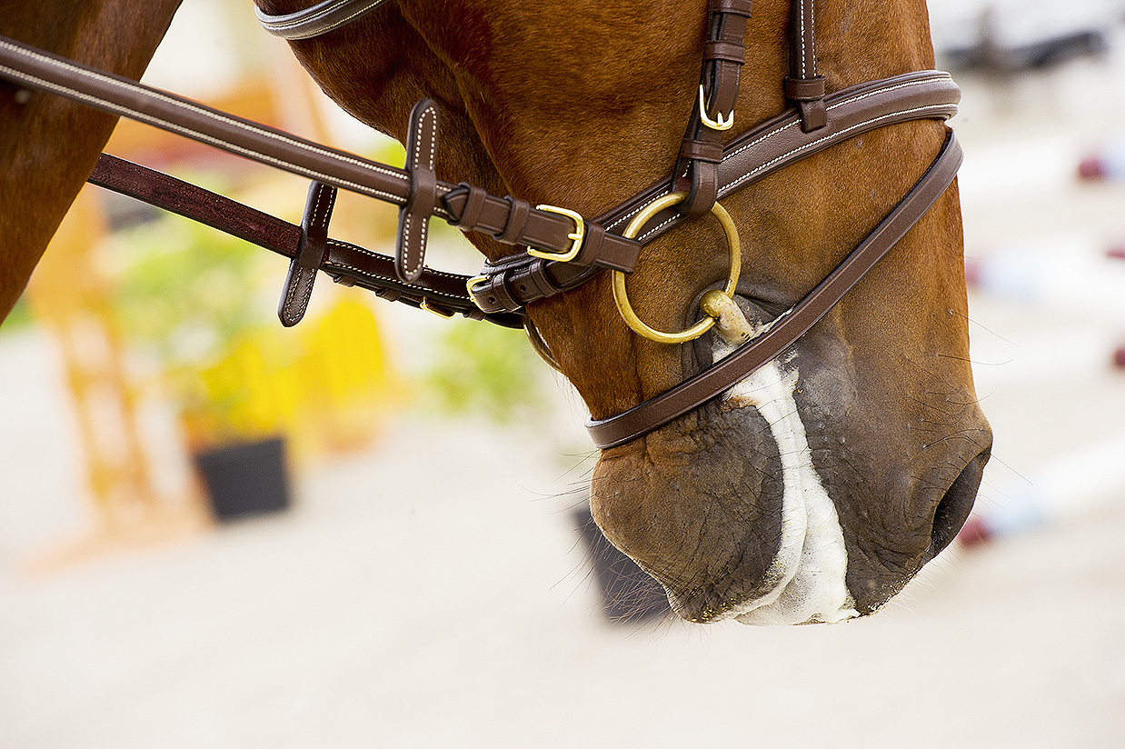 FEELING Cyprium Ring Snaffle 13 mm - 2